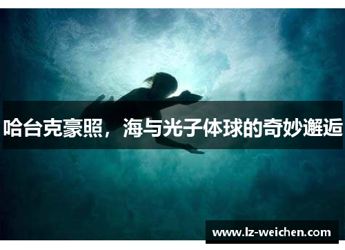 哈台克豪照，海与光子体球的奇妙邂逅
