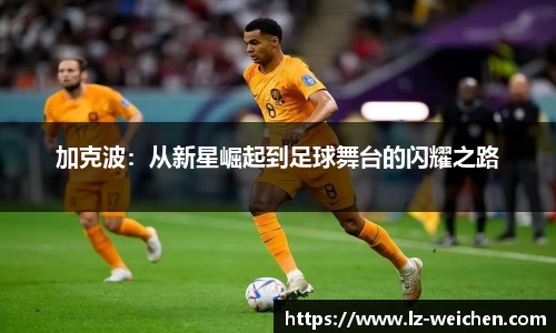 贝博艾弗森