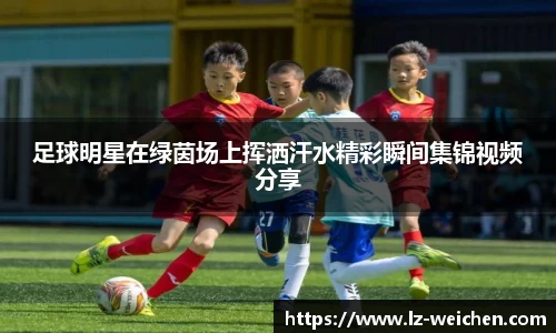 足球明星在绿茵场上挥洒汗水精彩瞬间集锦视频分享